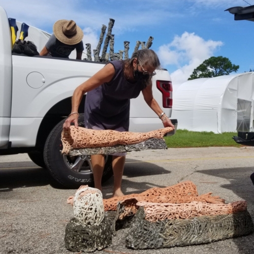 Star moves from FL to NC (9-10-20)                                Niels Lindquist and Carolyn Henne load Star for her ride to North Carolina (9-10-20)