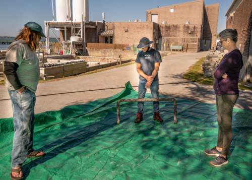 At Sandbar Oyster Company, 4-12-21.  Looking at full-size pattern for star formation with 5 swimmers.  Planning for fabrication of the Oyster Bars (one seen with Niels here).